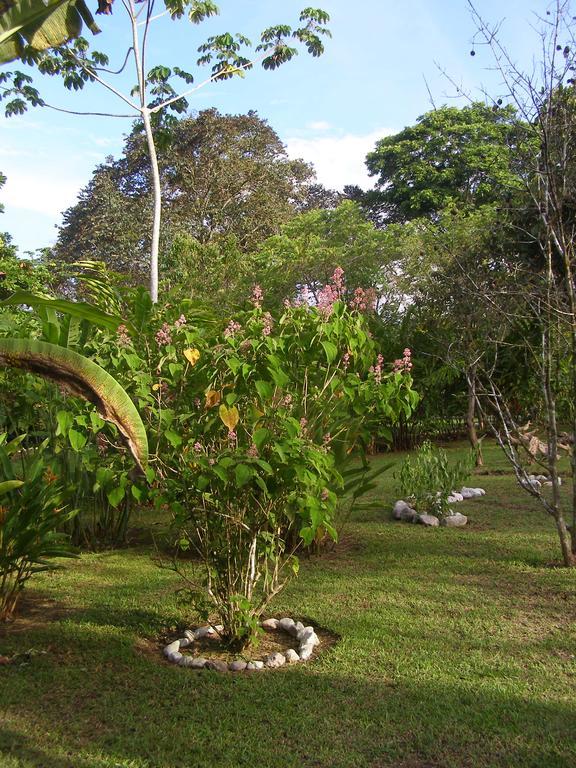 Finca Kobo Palo Seco Exterior photo